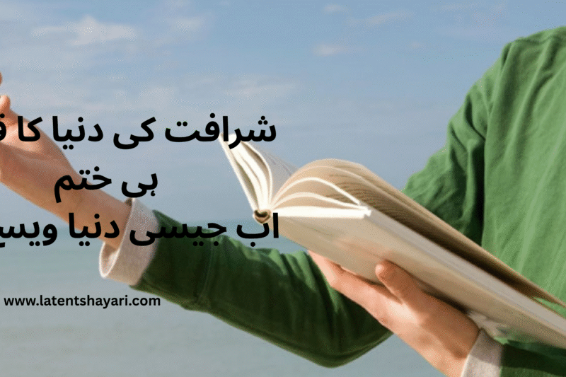 Attitude Poetry in Urdu 2 lines Text
